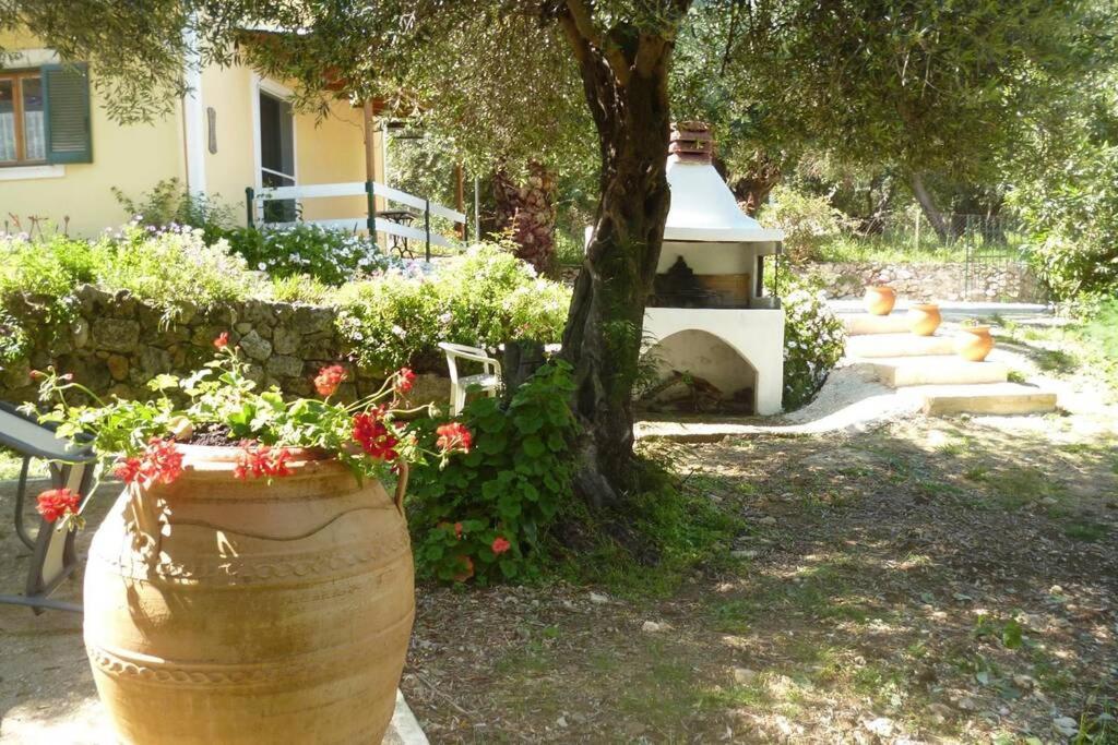 Villa Stephanie パレオカストリッツア エクステリア 写真