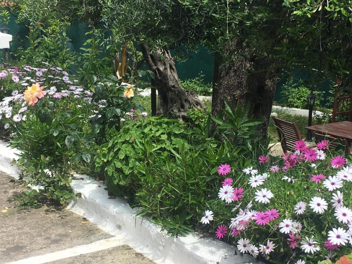 Villa Stephanie パレオカストリッツア エクステリア 写真